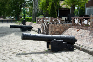 Cannon in the park