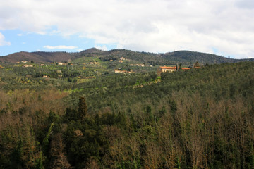 Obraz premium Forest-covered hills in Tuscany