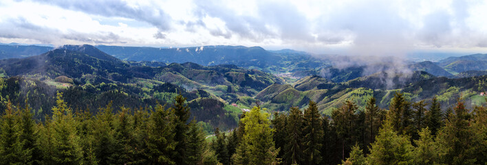 Schwarzwaldpanorama