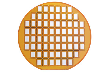 silicon disk with chips