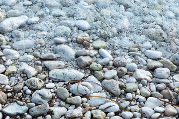 shore with stones