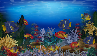Obraz na płótnie Canvas Underwater tropical background, vector illustration
