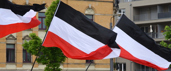 Im Wind wehende Fahnen der rechtsextremen NPD