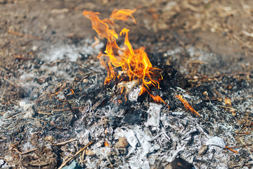 The flame from burning garbage. fire on junk
