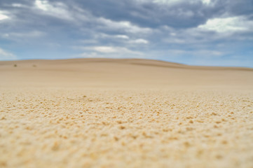 Dunes of Leba in the desert of Slowinski National Park, Poland