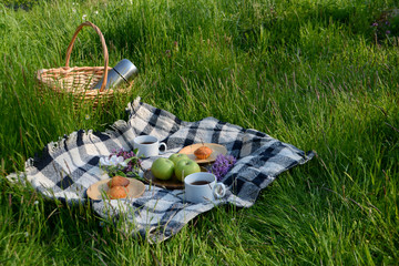 Picnic in the Park on the green grass with fruit, muffins, tea.  Picnic basket and blanket. Summer...