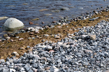 Steine, Algen und Wasser
