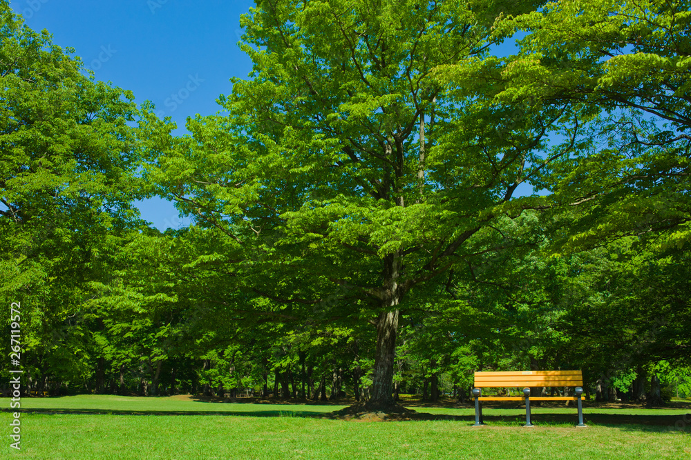 Wall mural garden bench