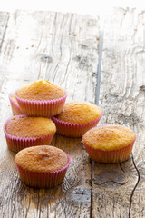 Sweet donuts with icing sugar