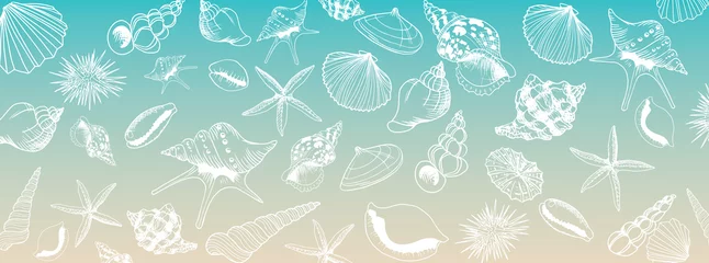 Deurstickers Vector seashell banner © Orkidia