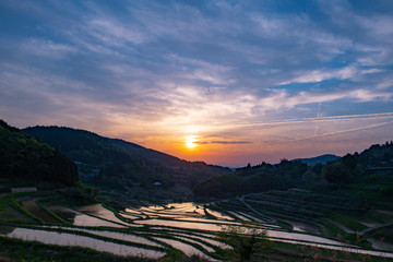 田植え直後の棚田に夕日が反射して美しい。