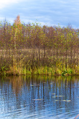 Pond in nature in autumn