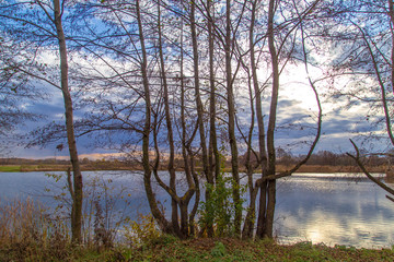 Obraz premium Pond in nature in autumn