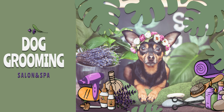 Dog Grooming Salon and spa Poster,  banner . Photo and illustration, cartoon style.  Dog in the spa care items and plants. Funny concept grooming, washing and caring for pets