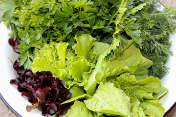 Green salad, dill and parsley in a white metal bowl, on a concrete surface. Salad Burgundy, green, purple, light green. Fresh herbs, just from the garden. It's spring. Krasnodar region.