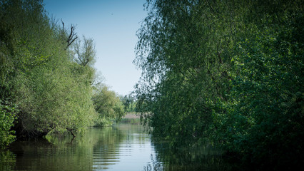 Canal in Danube Delta