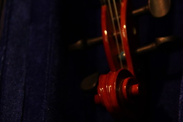 violon