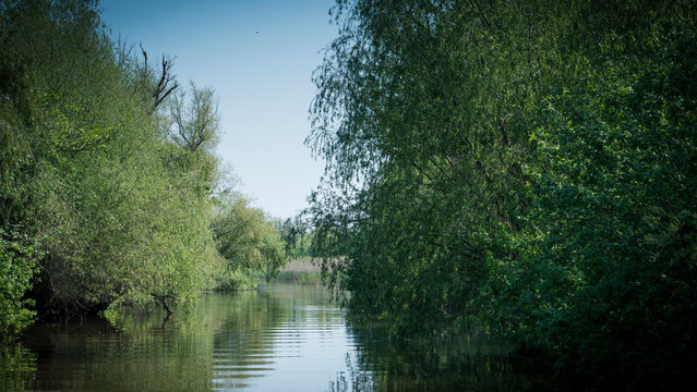 Canal in Danube Delta