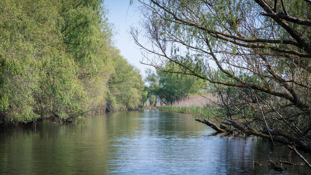 Canal in Danube Delta Romania