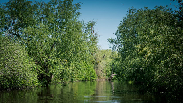 Danube Delta River Romania