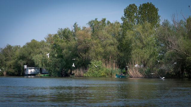 Danube Delta Landscape