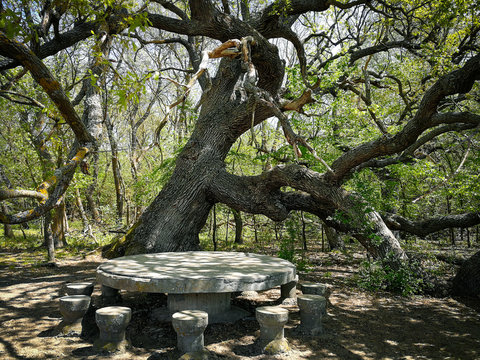 The table of Silence from Caraorman Forest