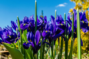 wonderful world around us