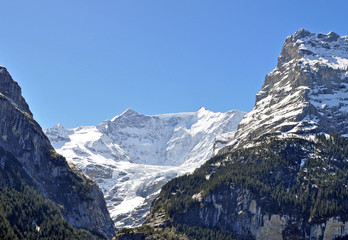 swiss alps panorama near Grindelwald