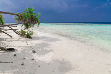 Maldives,  tropical sea background