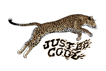 Just be cool slogan. Leopard. Typography graphic print, fashion drawing for t-shirt