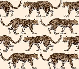 Leopard vector seamless pattern background