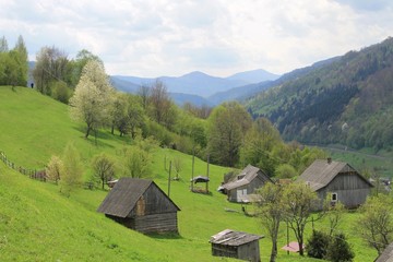 A very green slope with wooden houses in Ukranian Carpathians