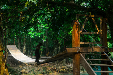 Cascadas de Agua Azul