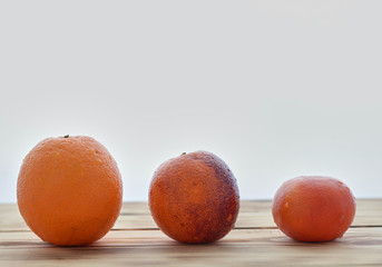 orange, red orange and mandarin