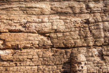 The surface of old atural wooden background.