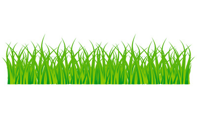 Grass background. Mockup for design. Grass vector EPS10. Copy space. Eco concept.
