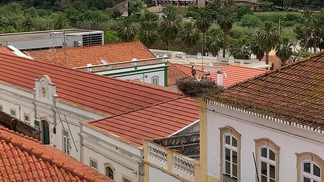 Silves Portugal rooftops with nesting storks