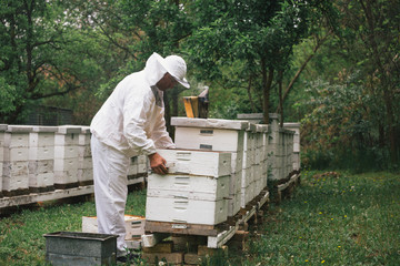 apiarist in protective suit opening bees hive