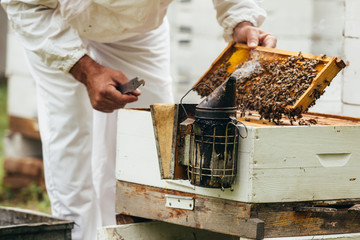 closeup of bee smoker while apiarist working in blurred background