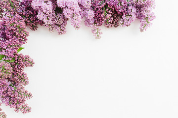 Lilac branches on white textured background