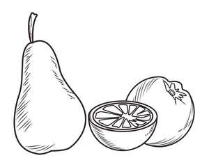 Fresh fruit nutrition healthy black and white hand drawn