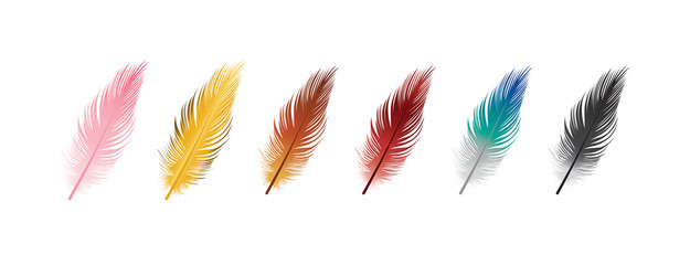 Feather multicolor collection