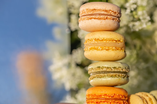 French sweets macarons and meadow white flowers in the summer evening in the garden. Delicious sweet airy colored french pastries. Natural blurred background. Image in soft focus close-up.