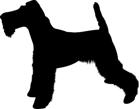 Fox Terrier 9 isolated vector silhouette