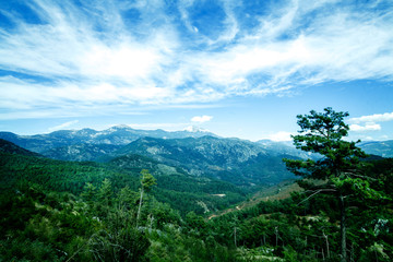 beautiful landscape of mountains covered with snow, blue sky with white clouds and dense green forest, nature view