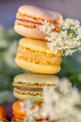 Sweet gentle airy colored french pastries. Dessert sweets macarons and meadow white flowers in the summer evening in the orchard. Natural blurred background. Image in soft focus close-up.