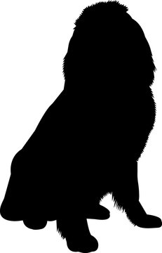 recommend clip art: Newfoundland 9 isolated vector silhouette