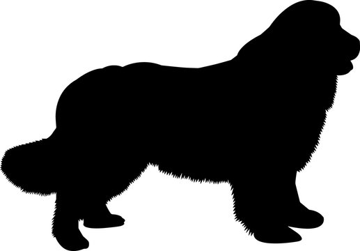 recommend clip art: Newfoundland 10 isolated vector silhouette