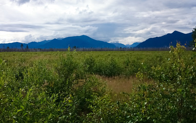  Summer landscape. Field, forest, mountains, sky, clouds. Lake Baikal.