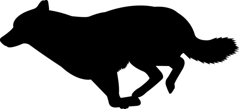 Siberian Husky 1 Isolated Vector Silhouette